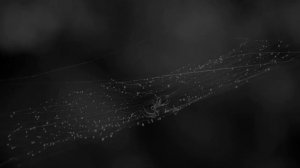 Chester Page "Twist in My Sobriety”