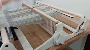 petal_20241126_155913.mp4