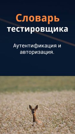 Словарь тестировщика. Аутентификация и авторизация.