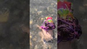 Ныряльщица