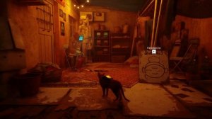 Как найти энергетические напитки для Азуза в Stray