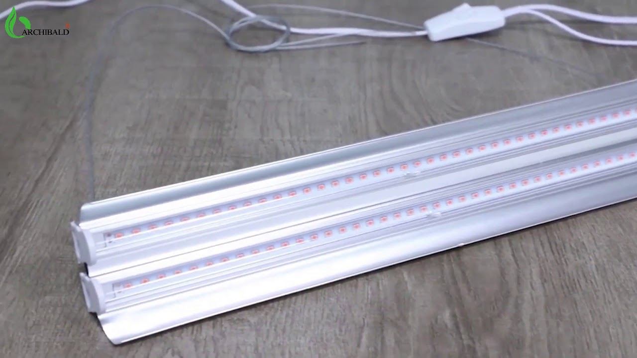 LED Grow Light Growing, Kingbright LED Full Spectrum Grow Light