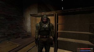 S.T.A.L.K.E.R.: Судьба Зоны 0.8 [Обзор] (2020)