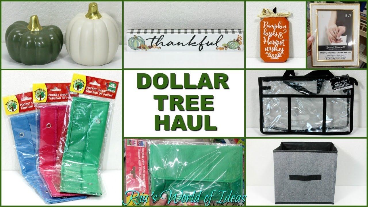 DOLLAR TREE HAUL | FALL ITEMS | ORGANIZATION