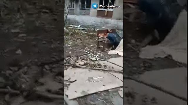 ‼️🇷🇺🏴☠️Страшные кадры из Селидово: ВСУ убивают мирных жителей 🔞🔞
Бойцы «🅾️тважных» стали свид