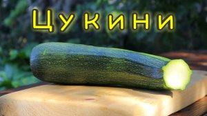 Всего 1 Цукини и ещё 2 ингредиента для приготовления вкуснейшего ужина