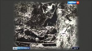 Киселев о кровавой расправе с якобы участием Войкова