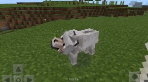 Как приручить волка в Minecraft PE
