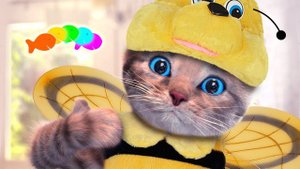 Little Kitten Adventure - My Favorite Cat Play with cute little kitten Educational game for kids