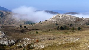 На высоте 1000 метров. Караби-яйла.