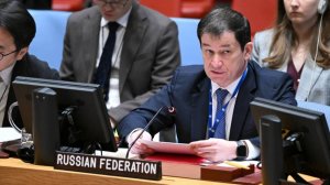 Statement by First DPR Dmitry Polyanskiy at a UNSC Briefing on the Situation in the Middle East