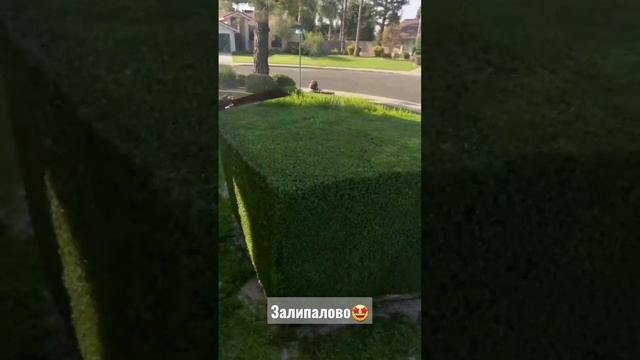 #landscapedesign #ландшафтныйдизайн