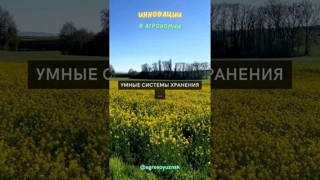 Умные системы хранения ...