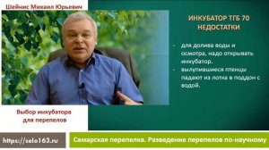 Как я выбирал инкубатор для перепелок