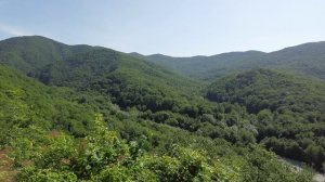 Небуг, прогулка по горе вдоль ЛЭП. Очень красивые и зелёные виды!