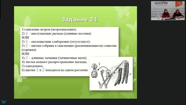 ОМО учителей биологии. "Анализ результатов ЕГЭ по биологии в 2024"