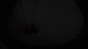 0220. НАУКА 2.0. БОЛЬШОЙ СКАЧОК. Тайная жизнь клетки