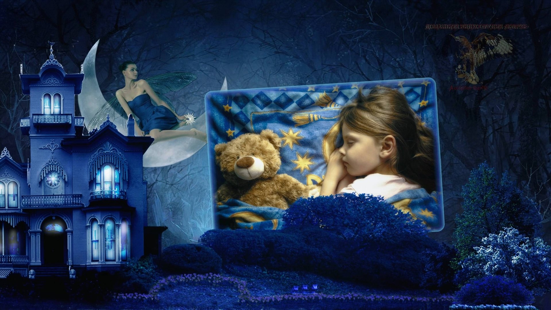 Ночная фея смотреть онлайн