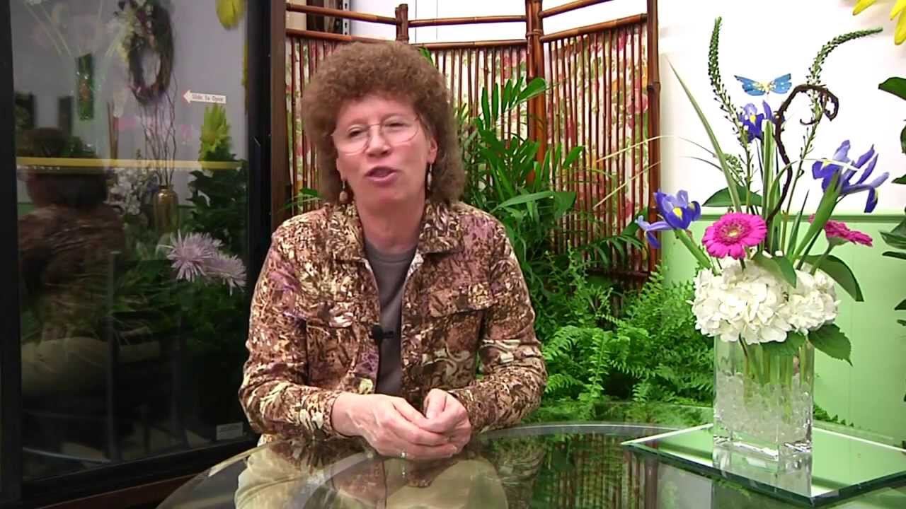 ELFCO TV 26: The Plant Professionals смотреть онлайн