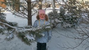 стихотворение Снег кружится... Читает Каличкина Елизавета