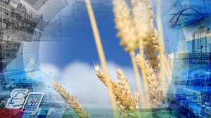 Фильм об истории Новосибирской области