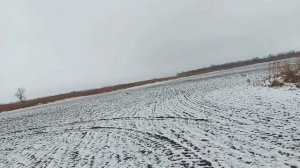 Зайчик по серой тропе