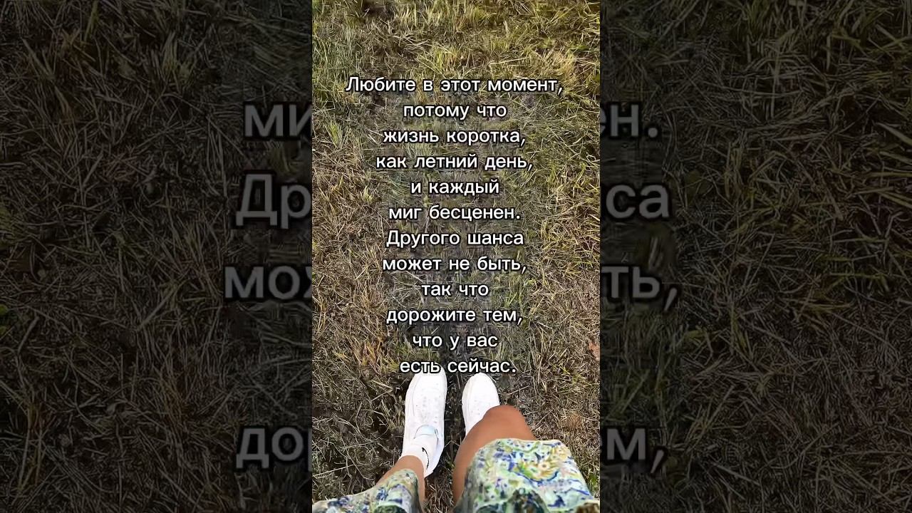 Любите в этот момент, потому что жизнь коротка, как летний день. #отношения #психология смотреть онлайн