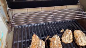 Weber Spirit II E-210 2-Burner Liquid Propane Grill Review