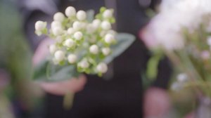 Тысяча и одна ночь 1 сезон 43 серия