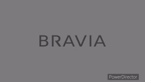 Sony Bravia KDL-40EX600 LCD TV (2010) - Startup Sound