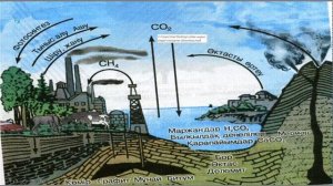 9 сынып. Биосферадағы биохимиялық үдерістер- заттар айналымы