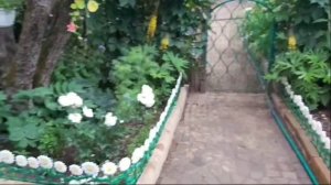 WhatsApp Video 2024-11-25 at 21.34.30