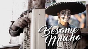 Besame mucho _на баяне