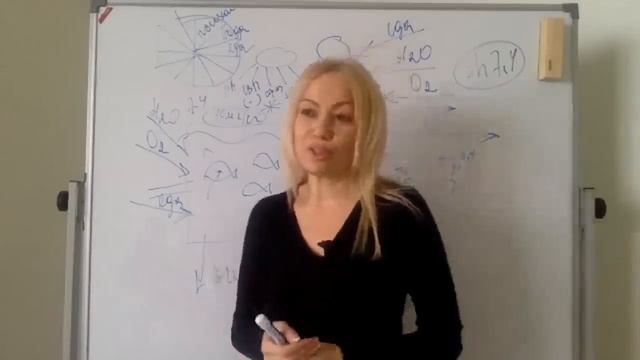 концепция здоровья