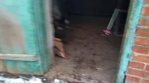 Клетки для кроликов и их дезинфекция