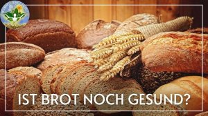 6 Monate kein Brot Erfahrungsbericht - im Gespräch mit Stefan Michels