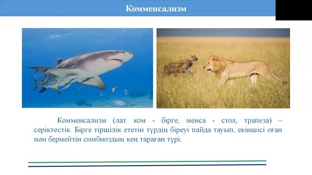 10 сабақ  Тірі ағзалардың өзара қарым қатынас түрлері
