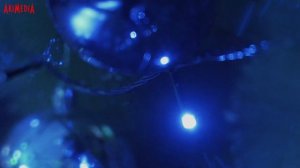 Магомед Шамсудинов - Гьудул 2021