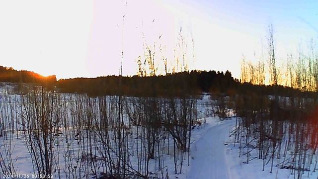 1000015645.mp4