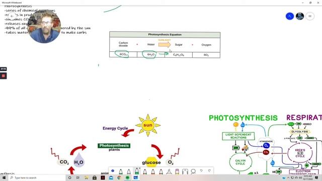 Photosynthesis part one смотреть онлайн