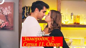 Зимородок 3. Серия 11. Обзор - пересказ