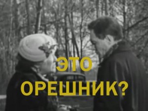 Это орешник?