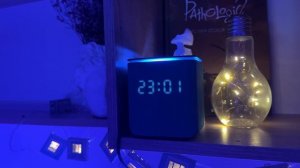 Новогодняя викторина