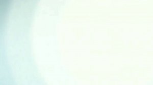 Заставка давай поженимся 2008 2012