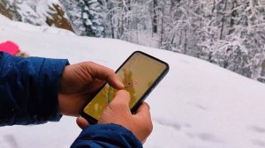 Прогулка по Столбам 24.11.2024