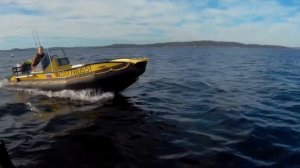 Сивуч 480 по волнам.