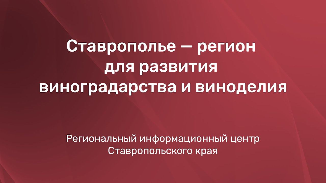 Ставрополье — регион для развития виноградарства и виноделия