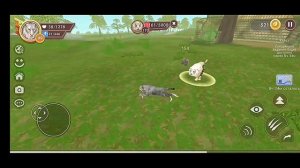 🐾 WildCraft || Прокачка тигра до 100 уровня.🐯