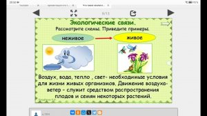 Что такое экология