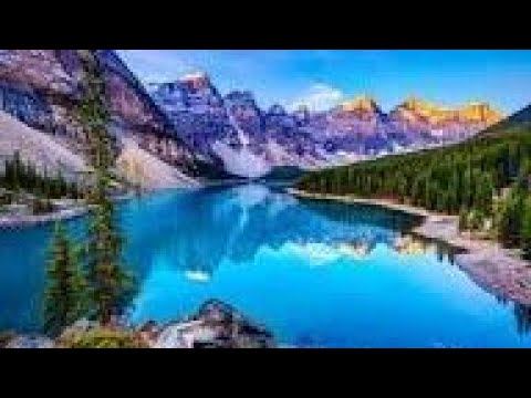 какие коронные фразы говорят ваши домочадцы Когда вы записываете свои видео на YouTube? смотреть онлайн